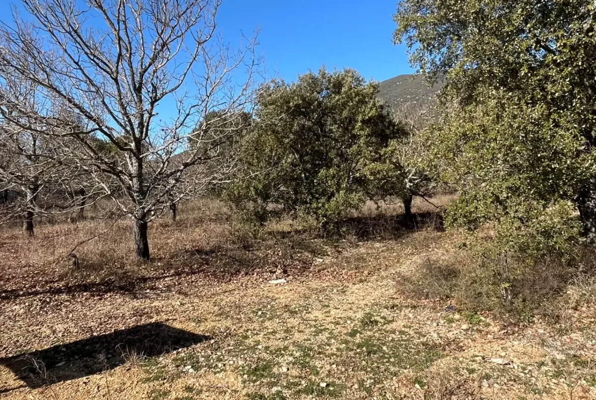 Terrain constructible de 1117 m² à Rustrel face au Colorado 