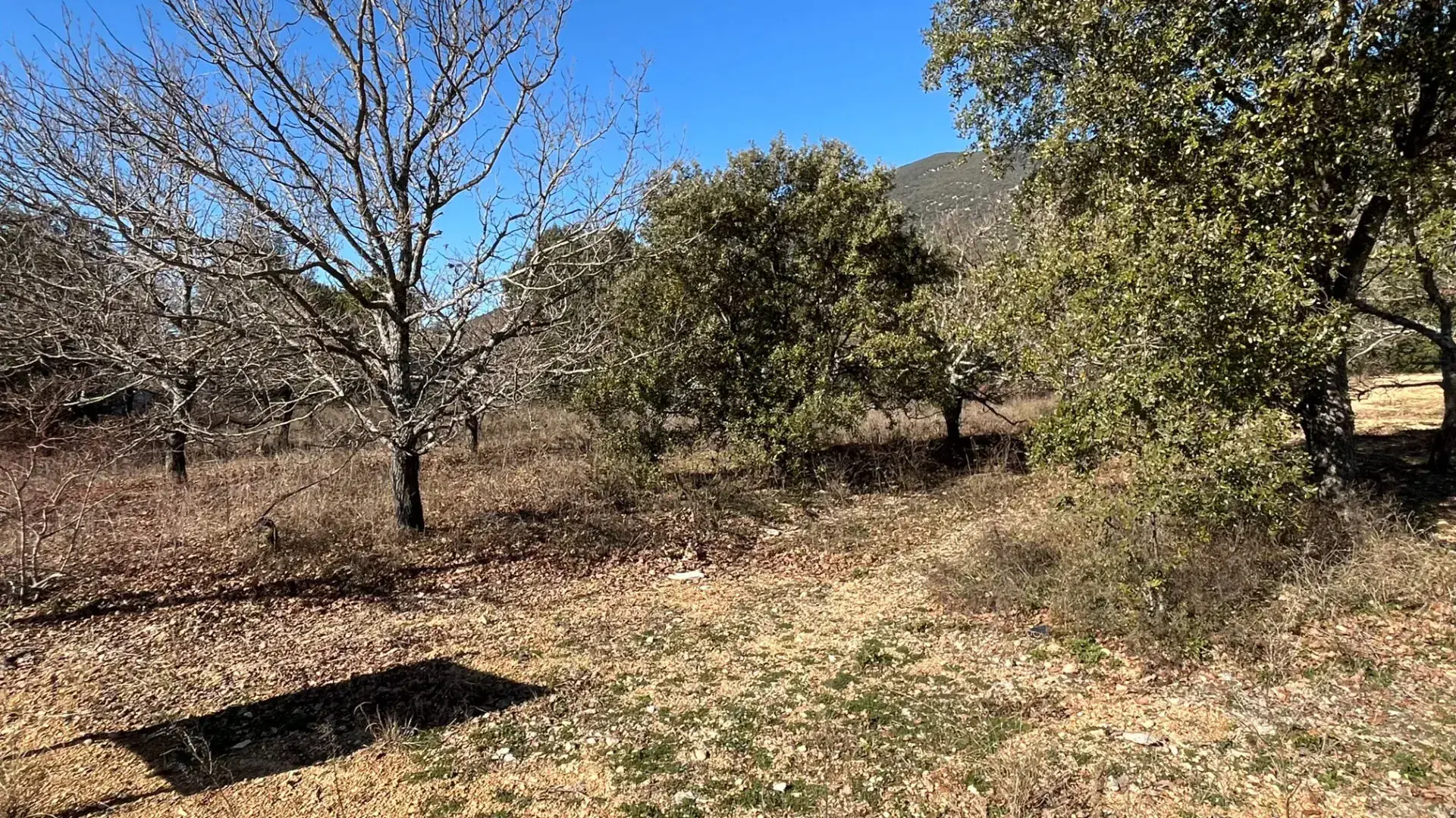 Terrain constructible de 1117 m² à Rustrel face au Colorado 