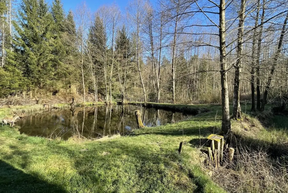 Ensemble de trois étangs avec chalet à Bruyères – Opportunité rare à 88 000 euros 