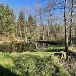 Ensemble de trois étangs avec chalet à Bruyères – Opportunité rare à 88 000 euros