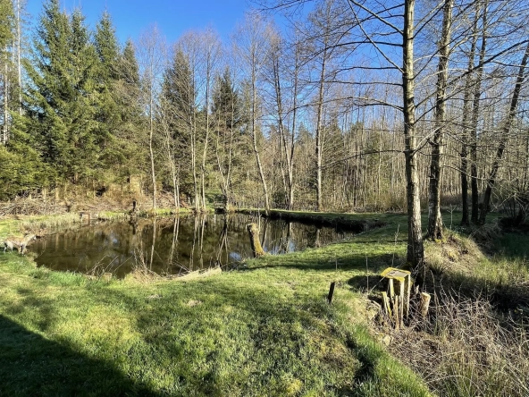 Ensemble de trois étangs avec chalet à Bruyères – Opportunité rare à 88 000 euros