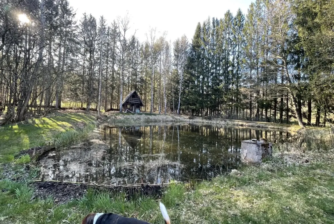 Ensemble de trois étangs avec chalet à Bruyères – Opportunité rare à 88 000 euros 
