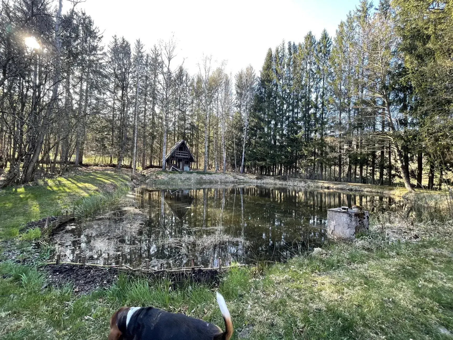 Ensemble de trois étangs avec chalet à Bruyères – Opportunité rare à 88 000 euros 
