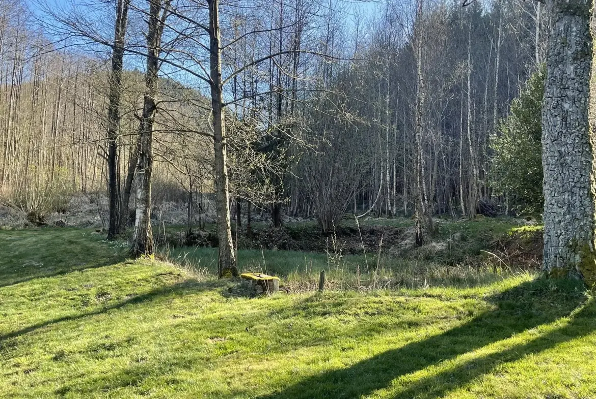 Ensemble de trois étangs avec chalet à Bruyères – Opportunité rare à 88 000 euros 
