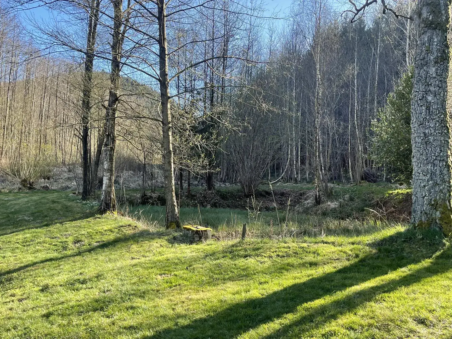Ensemble de trois étangs avec chalet à Bruyères – Opportunité rare à 88 000 euros 
