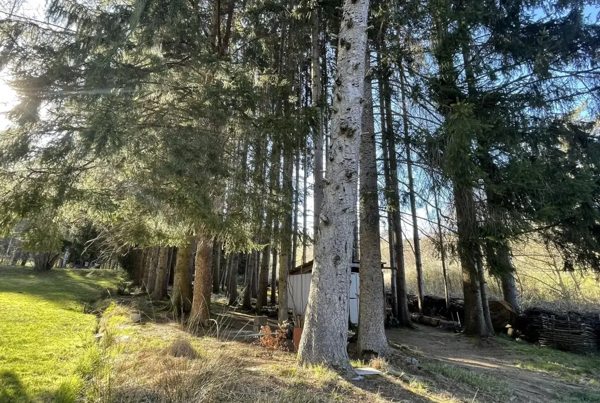 Ensemble de trois étangs avec chalet à Bruyères – Opportunité rare à 88 000 euros 