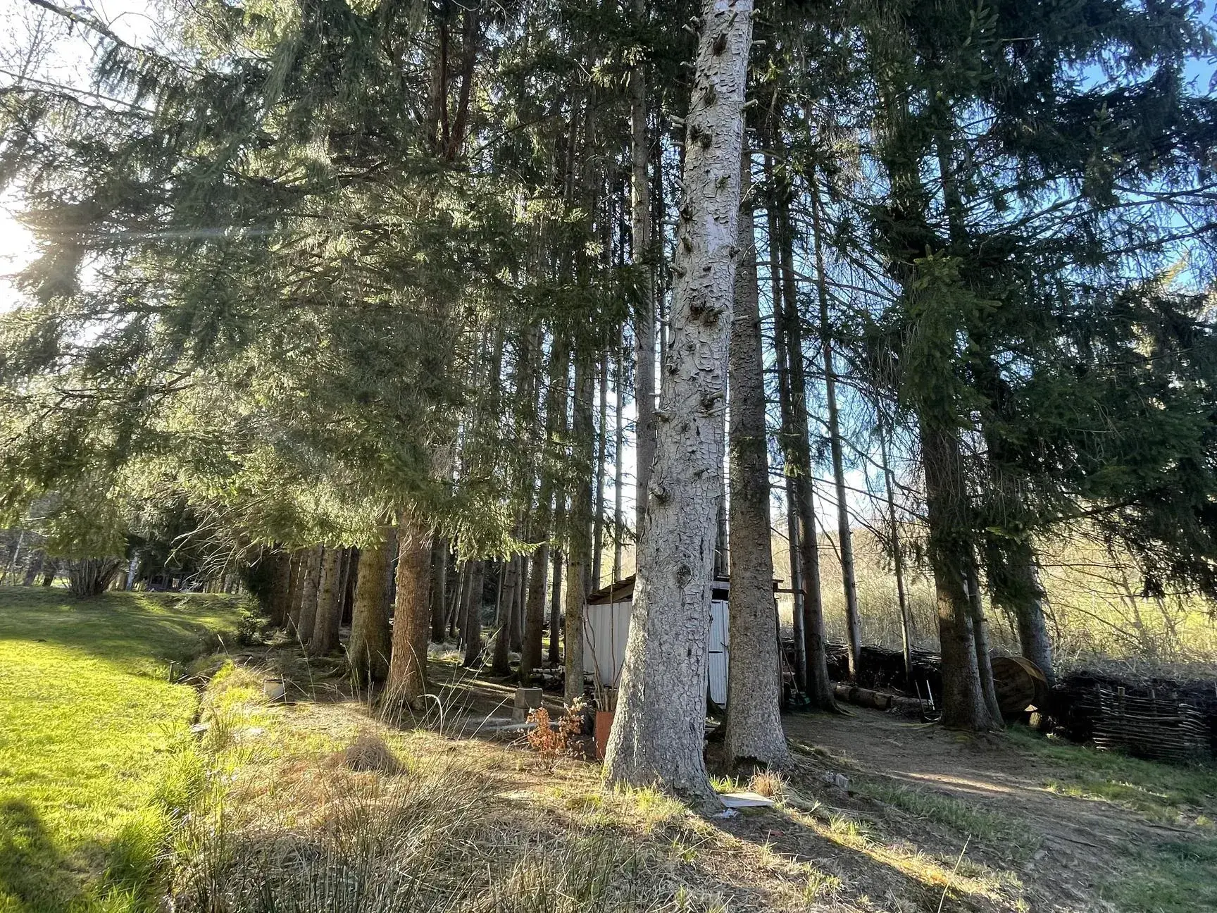 Ensemble de trois étangs avec chalet à Bruyères – Opportunité rare à 88 000 euros 