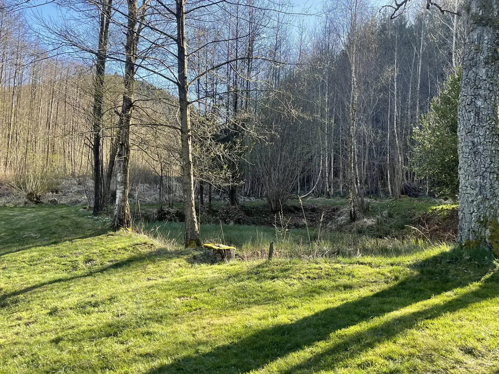 Ensemble de trois étangs avec chalet à Bruyères – Opportunité rare à 88 000 euros 