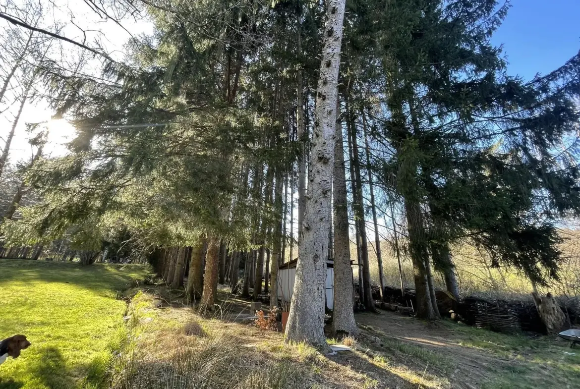 Ensemble de trois étangs avec chalet à Bruyères – Opportunité rare à 88 000 euros 