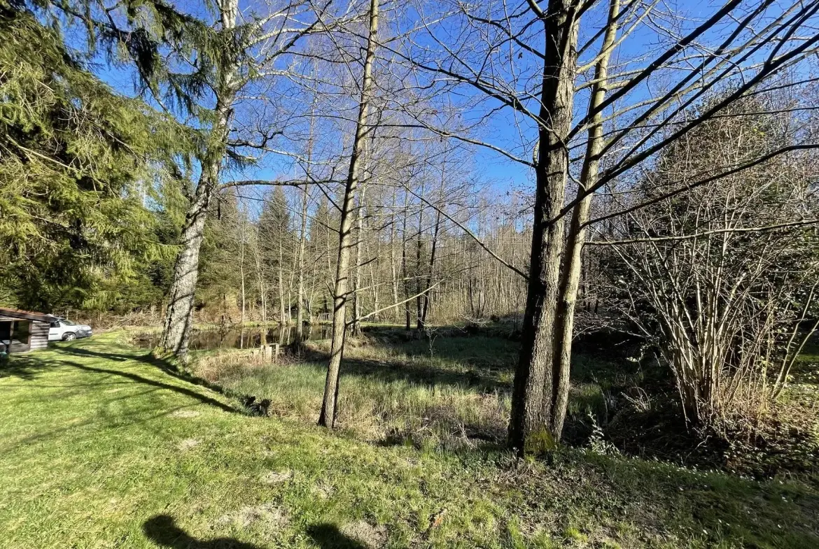 Ensemble de trois étangs avec chalet à Bruyères – Opportunité rare à 88 000 euros 