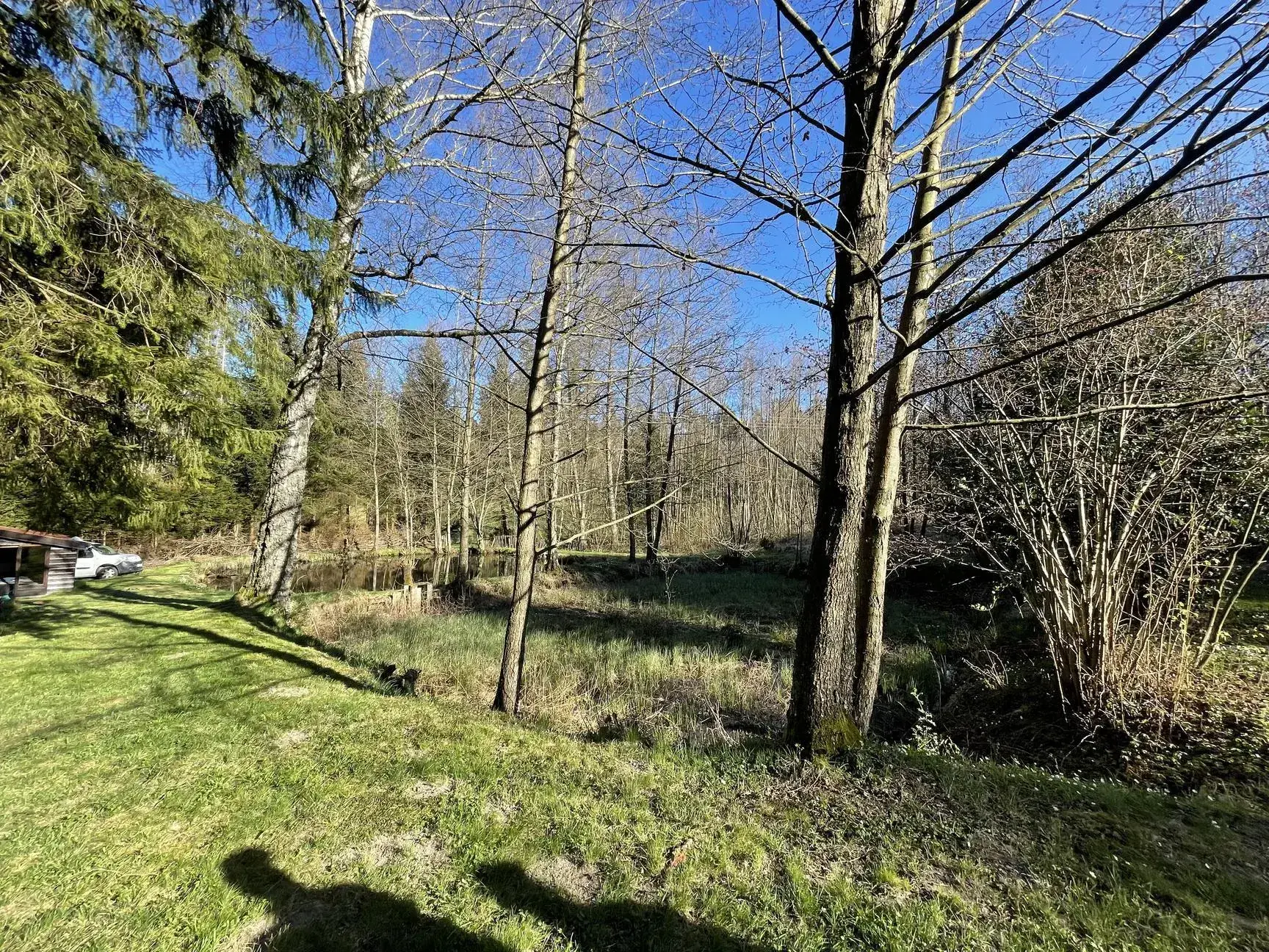Ensemble de trois étangs avec chalet à Bruyères – Opportunité rare à 88 000 euros 