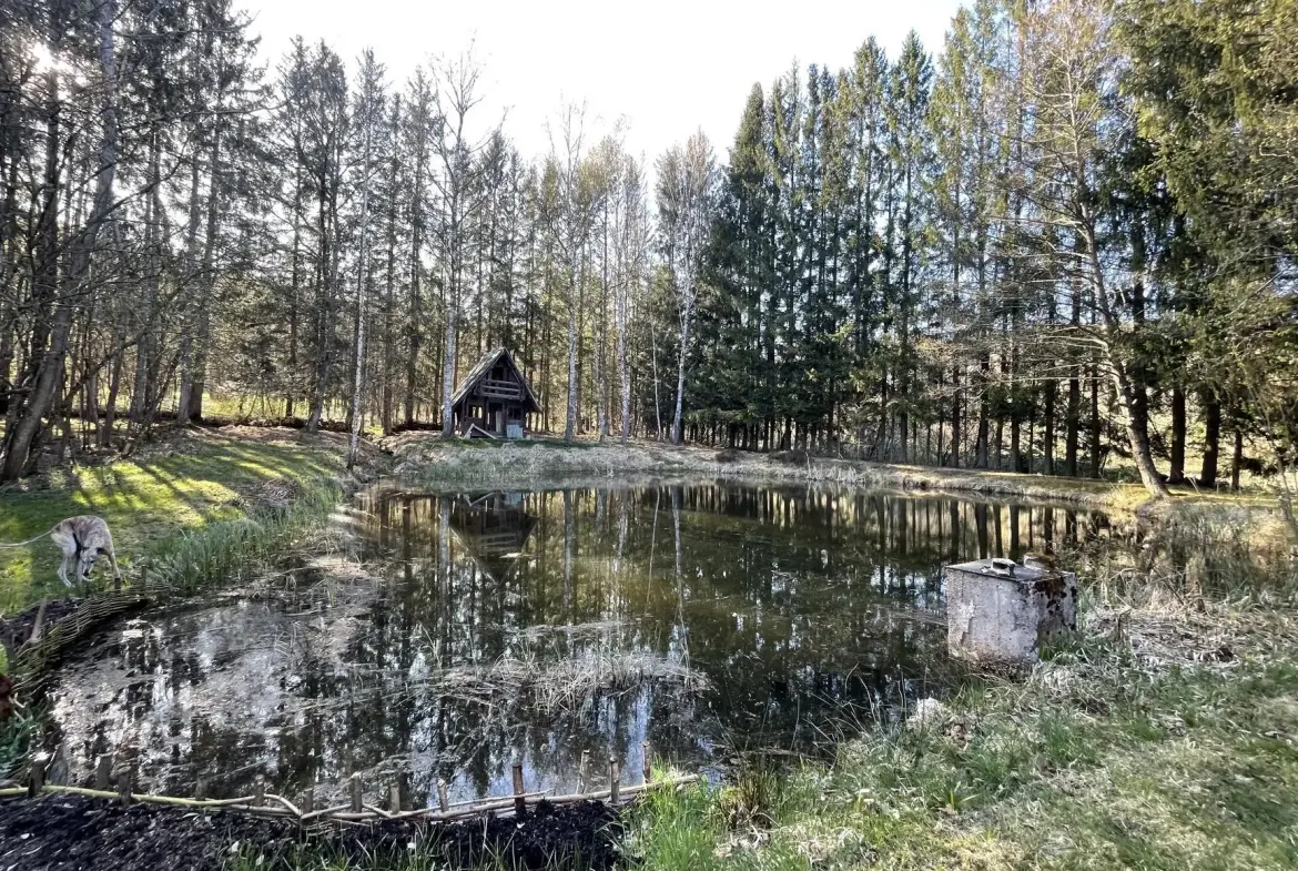 Ensemble de trois étangs avec chalet à Bruyères – Opportunité rare à 88 000 euros 