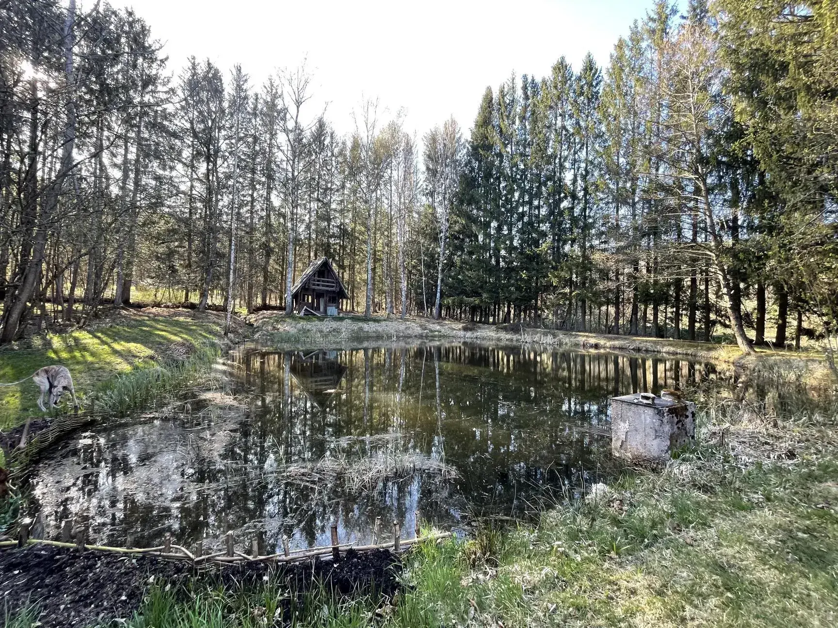 Ensemble de trois étangs avec chalet à Bruyères – Opportunité rare à 88 000 euros 