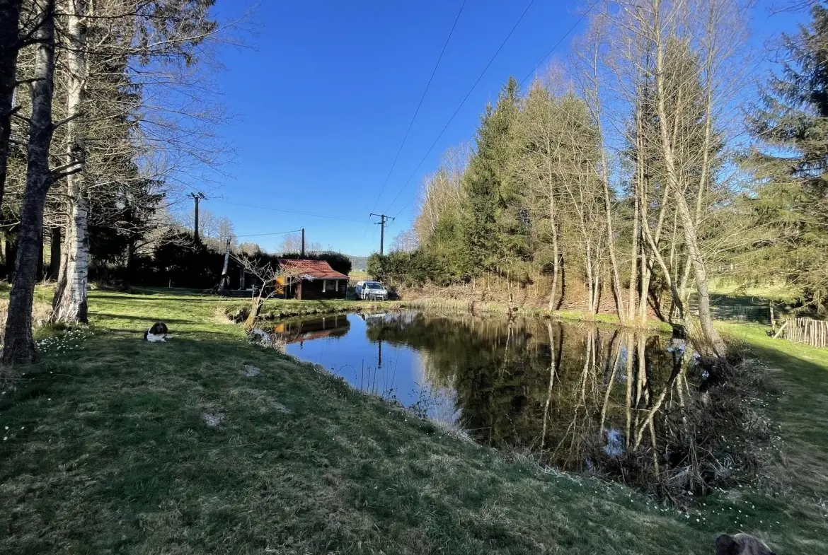 Ensemble de trois étangs avec chalet à Bruyères – Opportunité rare à 88 000 euros 