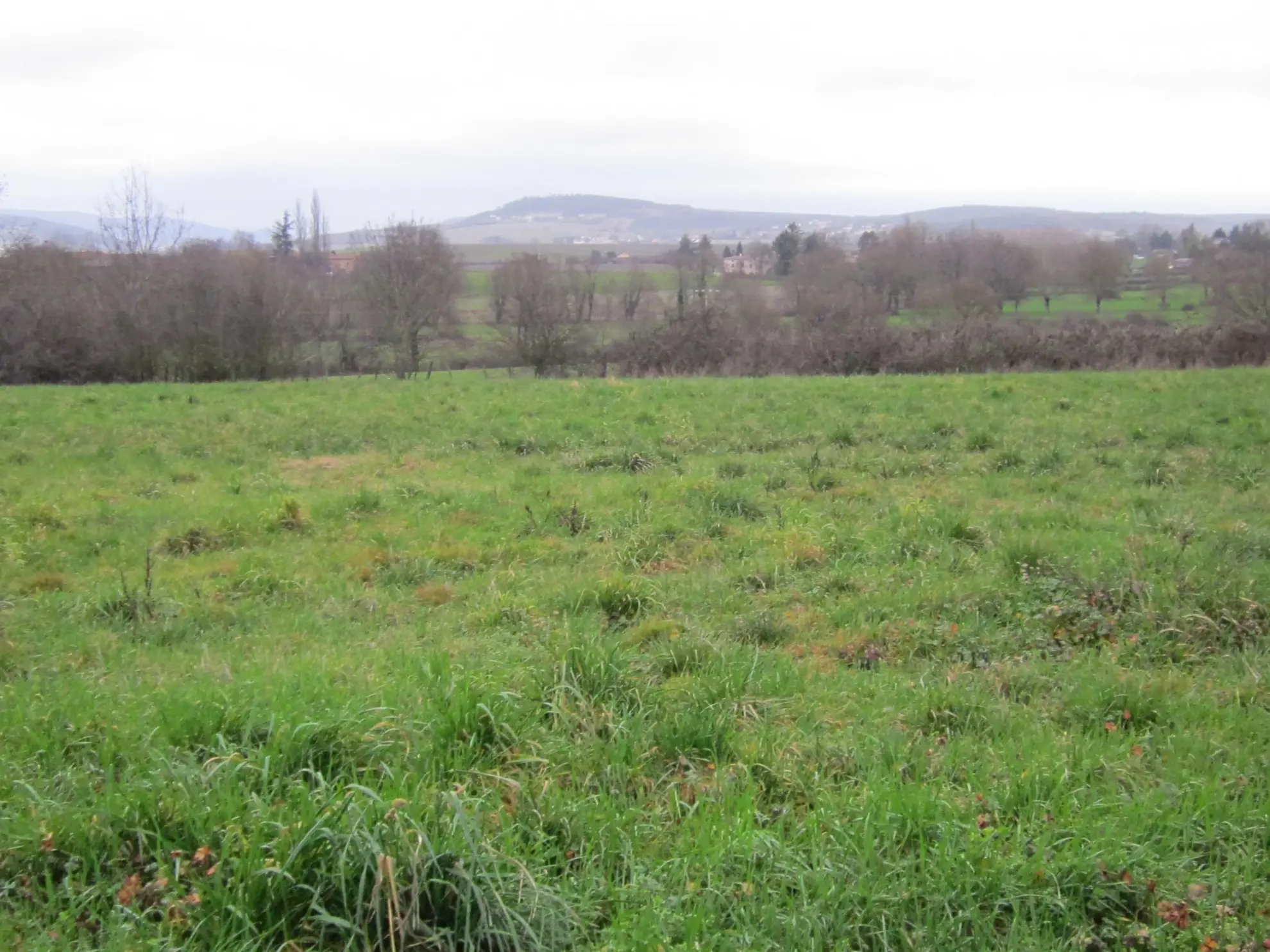 Vente maison neuve moderne à Gorrevod, 3 chambres, terrain de 943 m² 