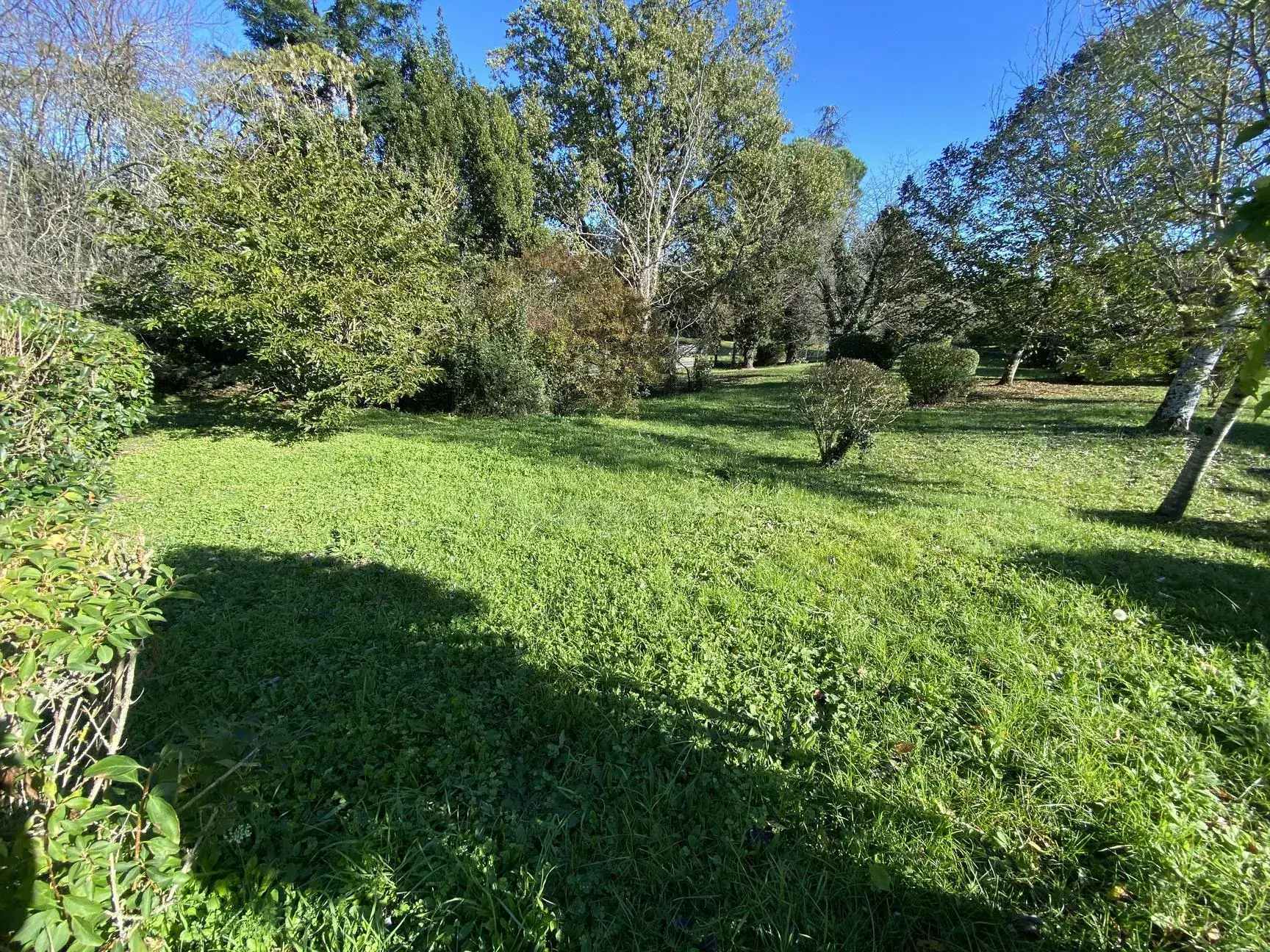 Terrain constructible de 805 m² à Albi dans le quartier de la Maladrerie 