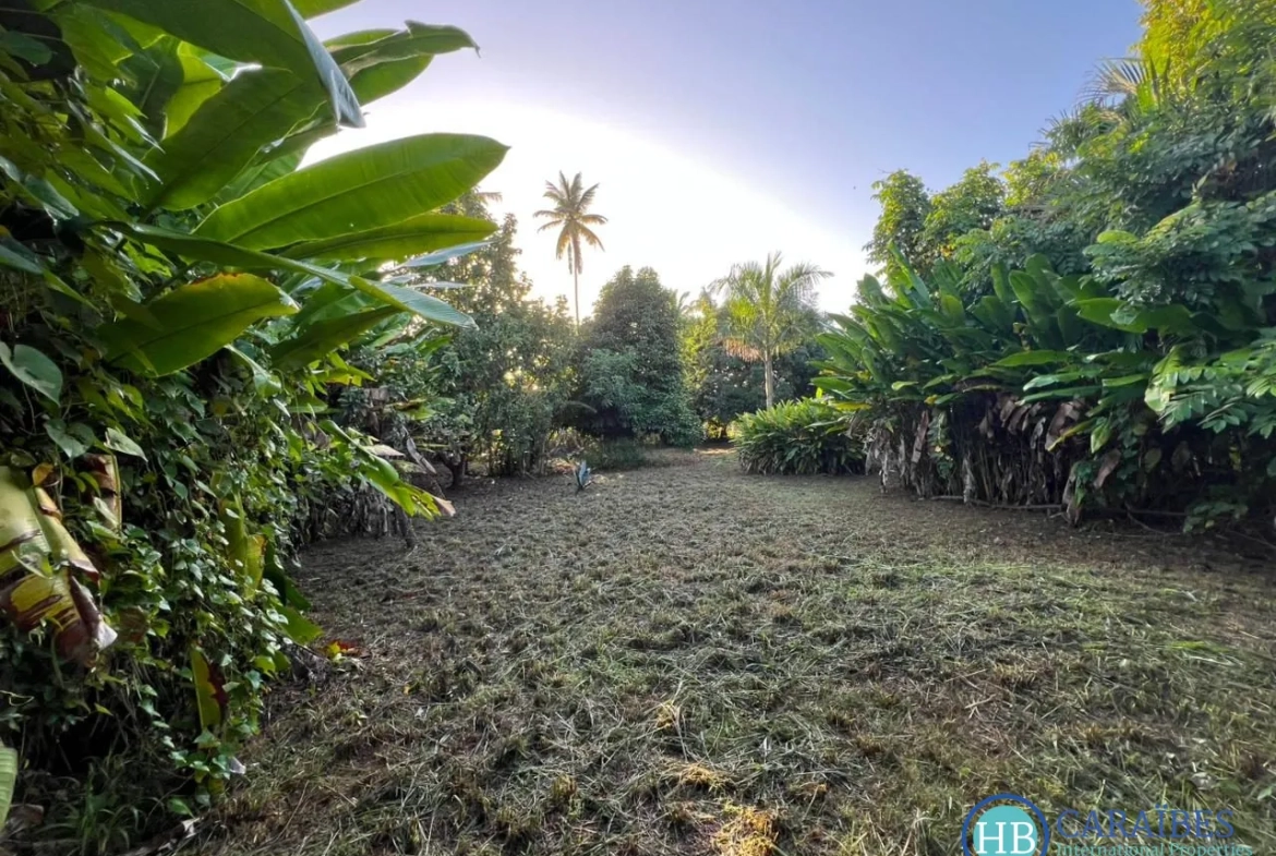 Terrain constructible de 1150 m² à Las Terrenas, vue imprenable et proche de toutes commodités 