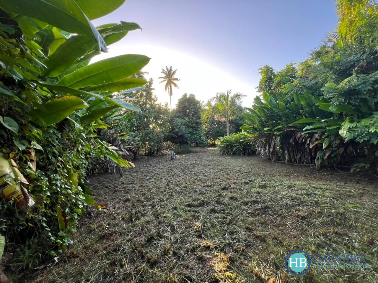 Terrain constructible de 1150 m² à Las Terrenas, vue imprenable et proche de toutes commodités 