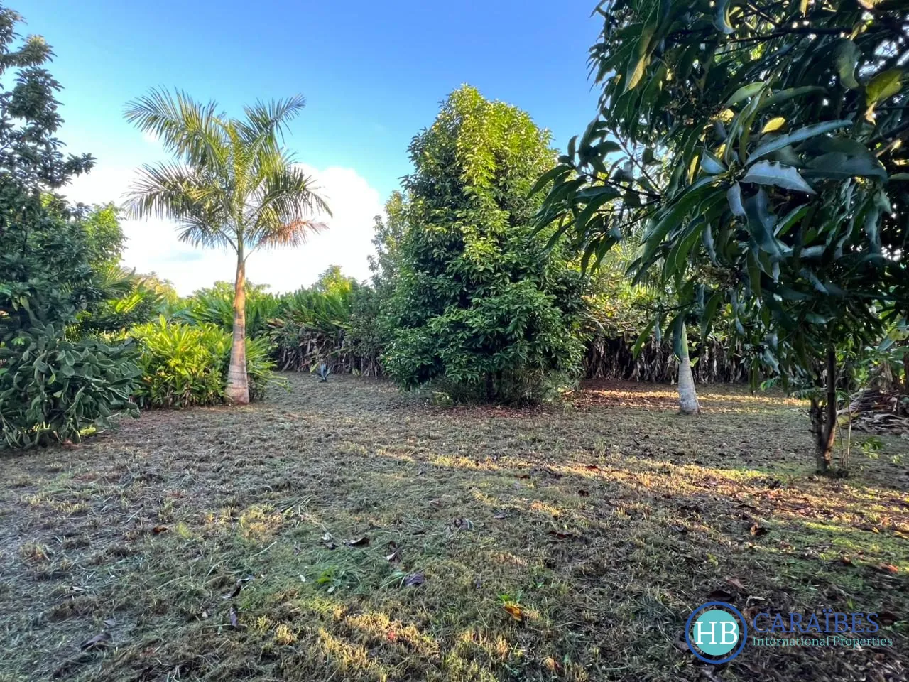 Terrain constructible de 1150 m² à Las Terrenas, vue imprenable et proche de toutes commodités 