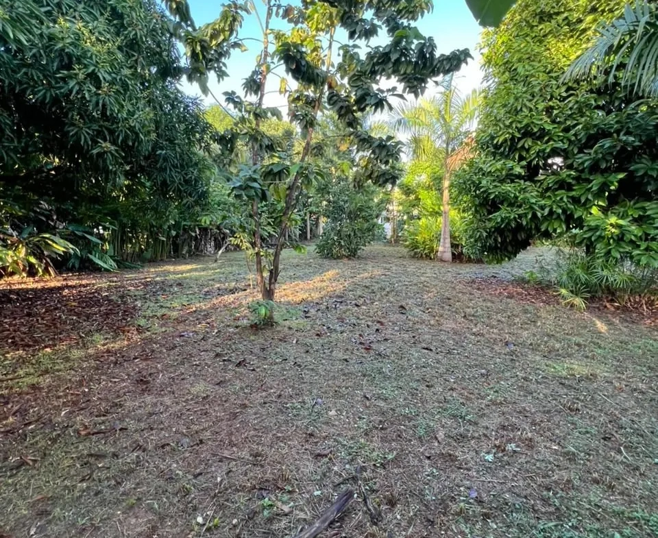 Terrain constructible de 1150 m² à Las Terrenas, vue imprenable et proche de toutes commodités 