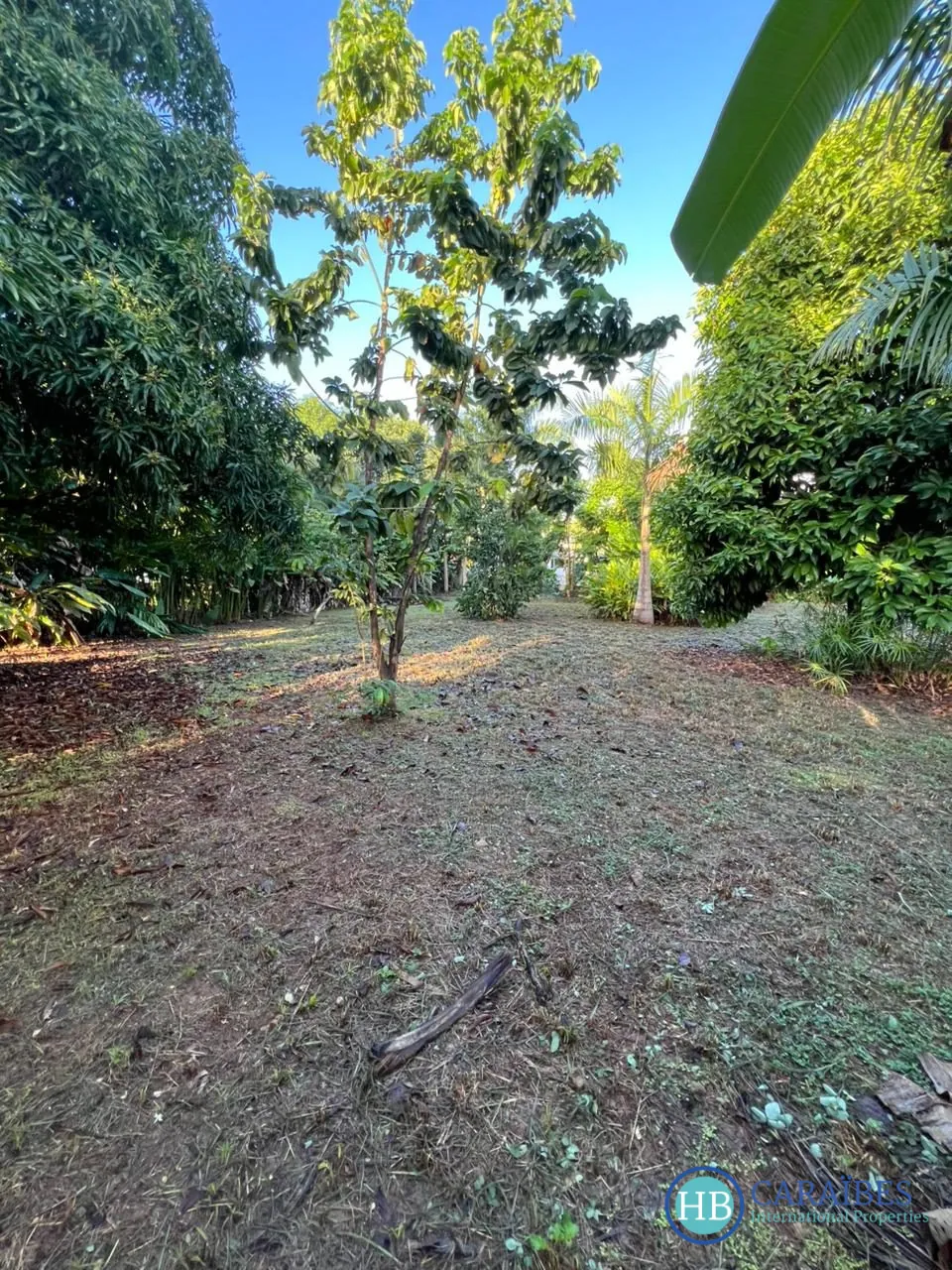 Terrain constructible de 1150 m² à Las Terrenas, vue imprenable et proche de toutes commodités 