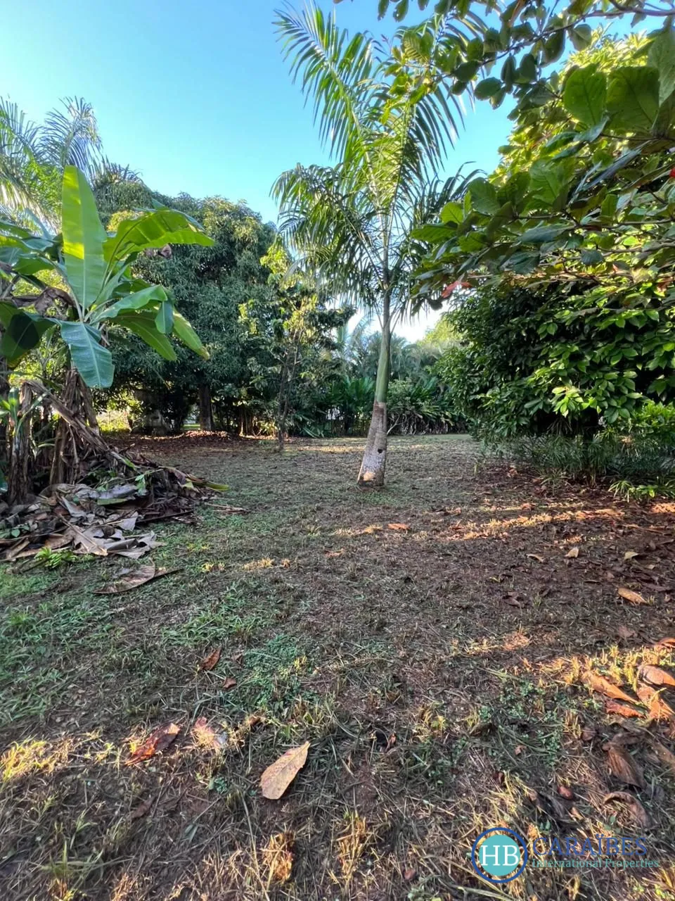 Terrain constructible de 1150 m² à Las Terrenas, vue imprenable et proche de toutes commodités 