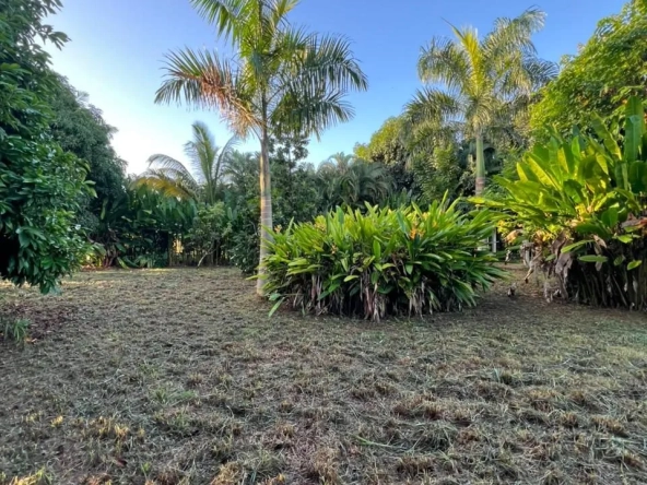 Terrain constructible de 1150 m² à Las Terrenas, vue imprenable et proche de toutes commodités