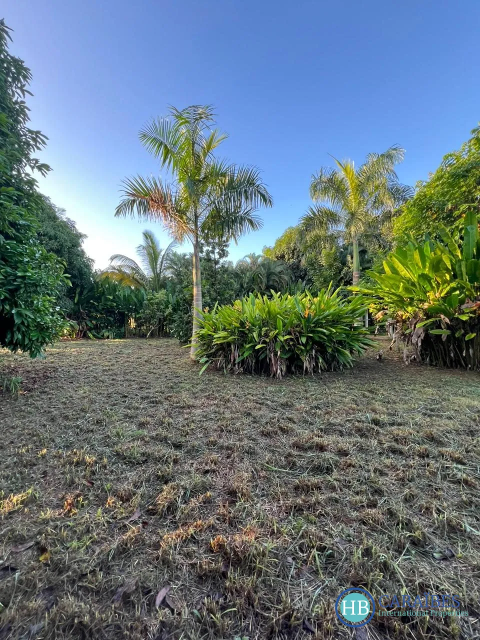 Terrain constructible de 1150 m² à Las Terrenas, vue imprenable et proche de toutes commodités 