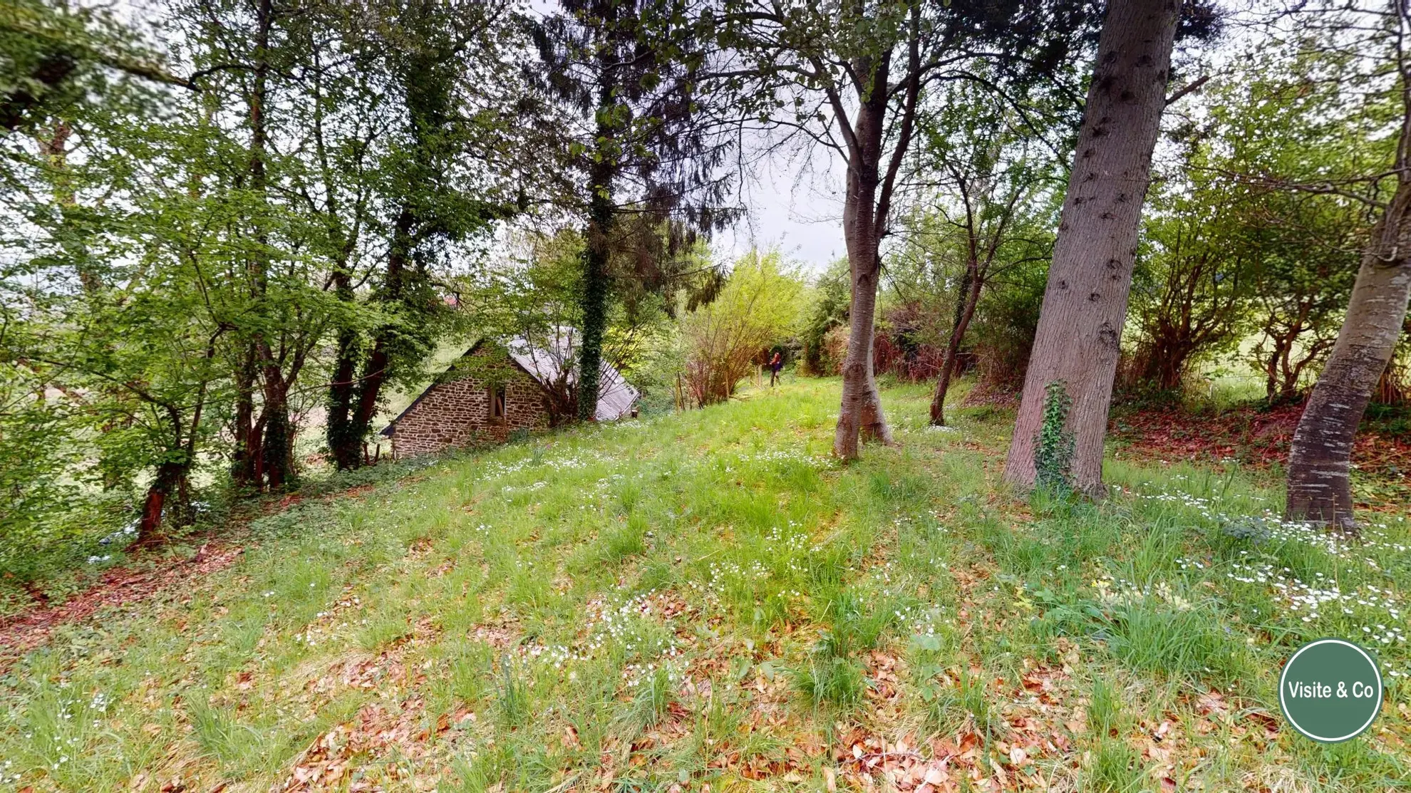 Maison à rénover à Putanges-le-Lac, cadre naturel privilégié avec terrain de 1177 m² 