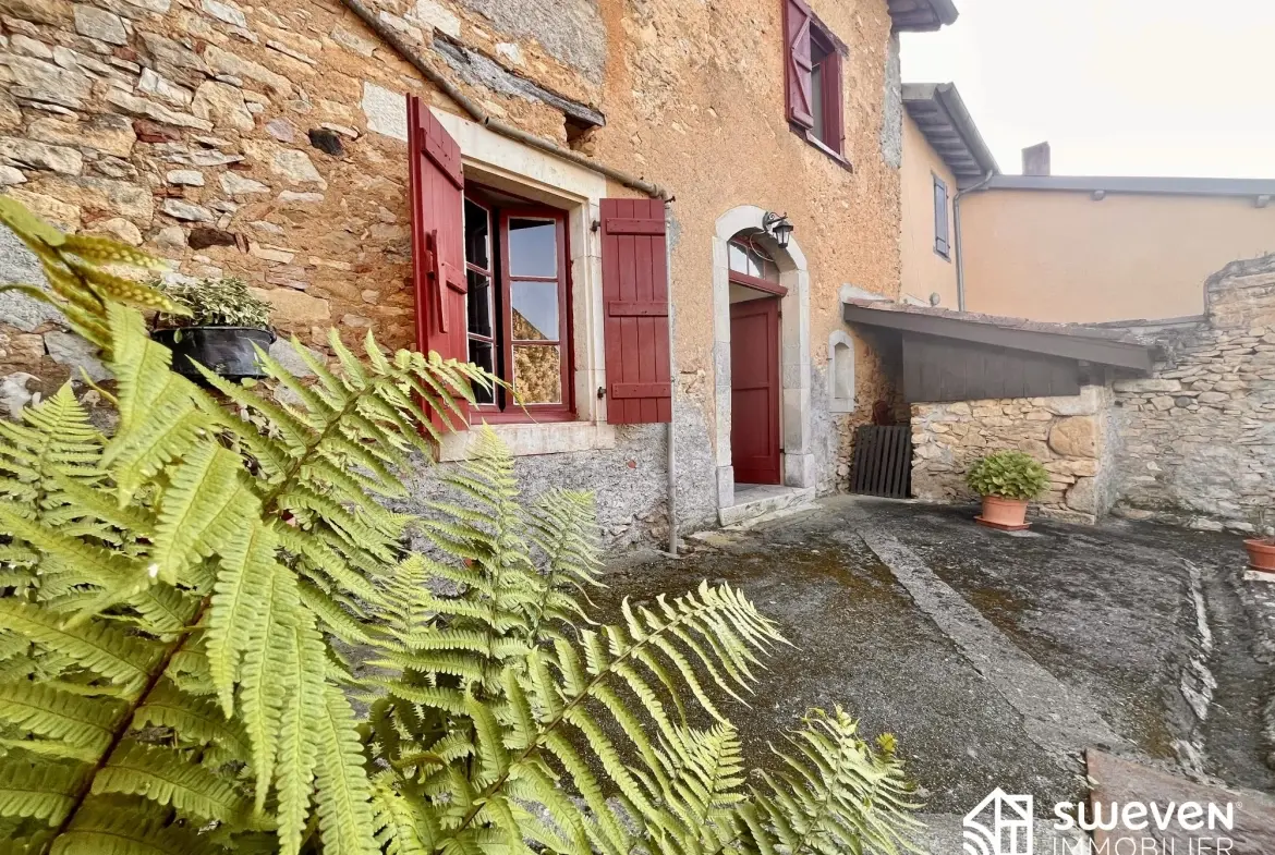 Charme de l'ancien maison à vendre 09230 FABAS Maison en pierre à vendre dans le village du Volvestre avec cour et jardin 