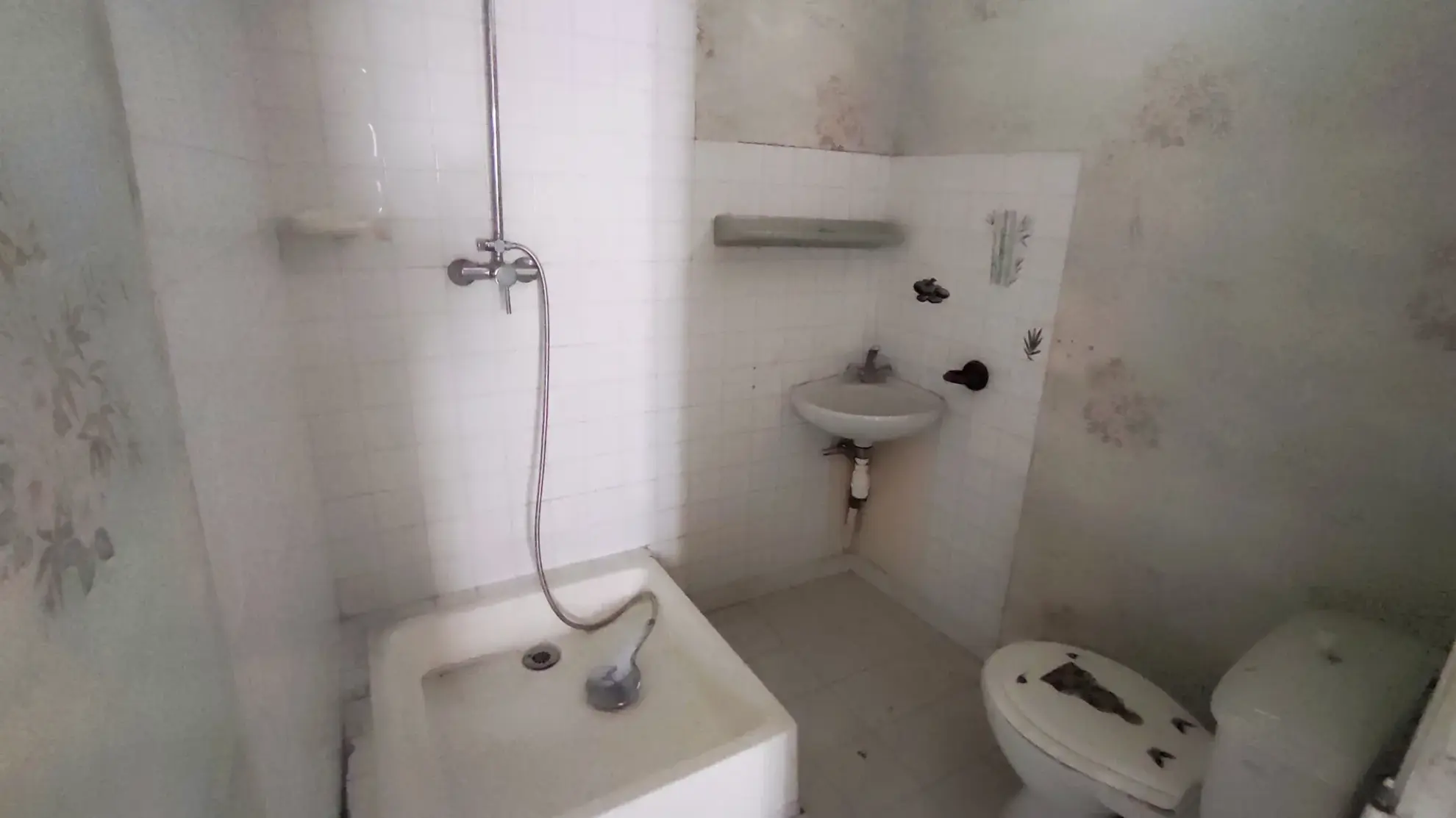 Immeuble de 290 m² avec 3 appartements et 2 locaux commerciaux à Besseges 
