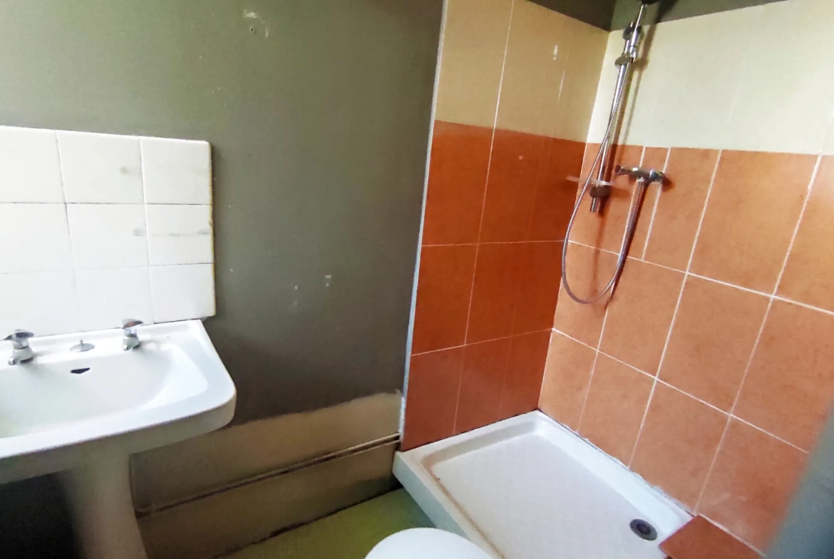 Immeuble de 290 m² avec 3 appartements et 2 locaux commerciaux à Besseges 