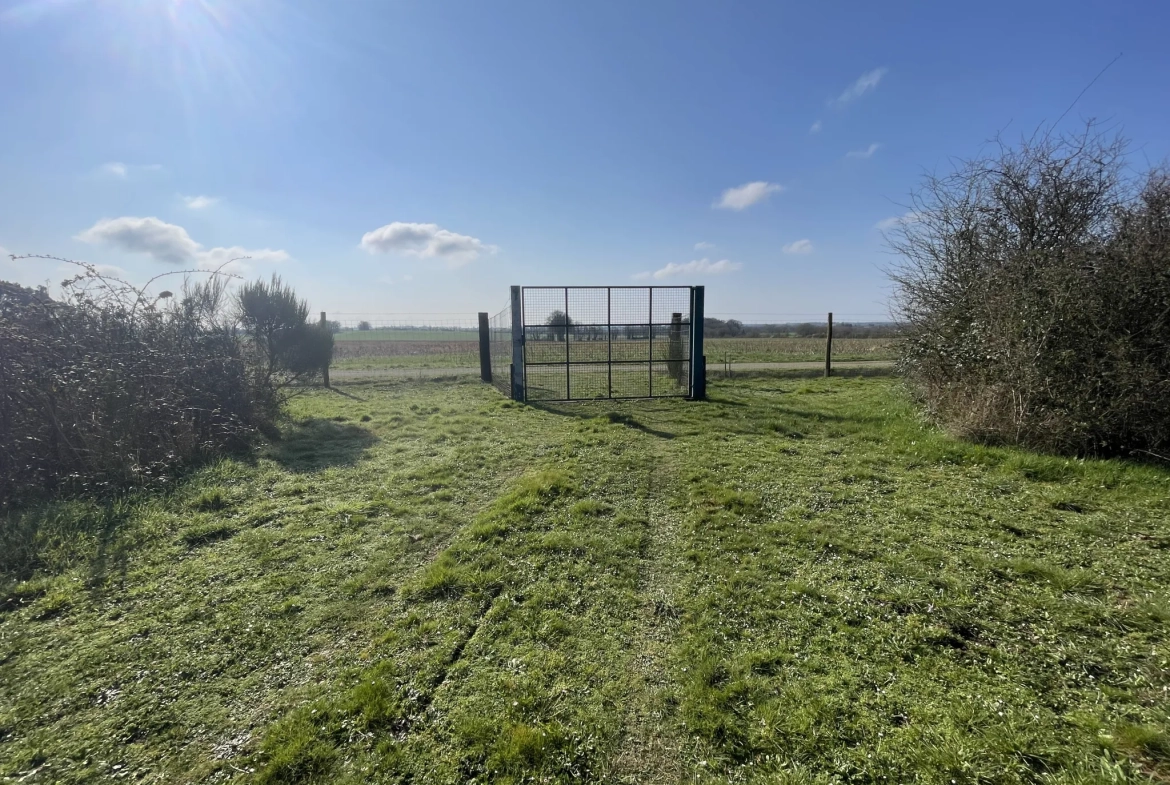 Terrain de loisir agricole de 34 900 m² à La Dominelais, clos avec chalet et carport 