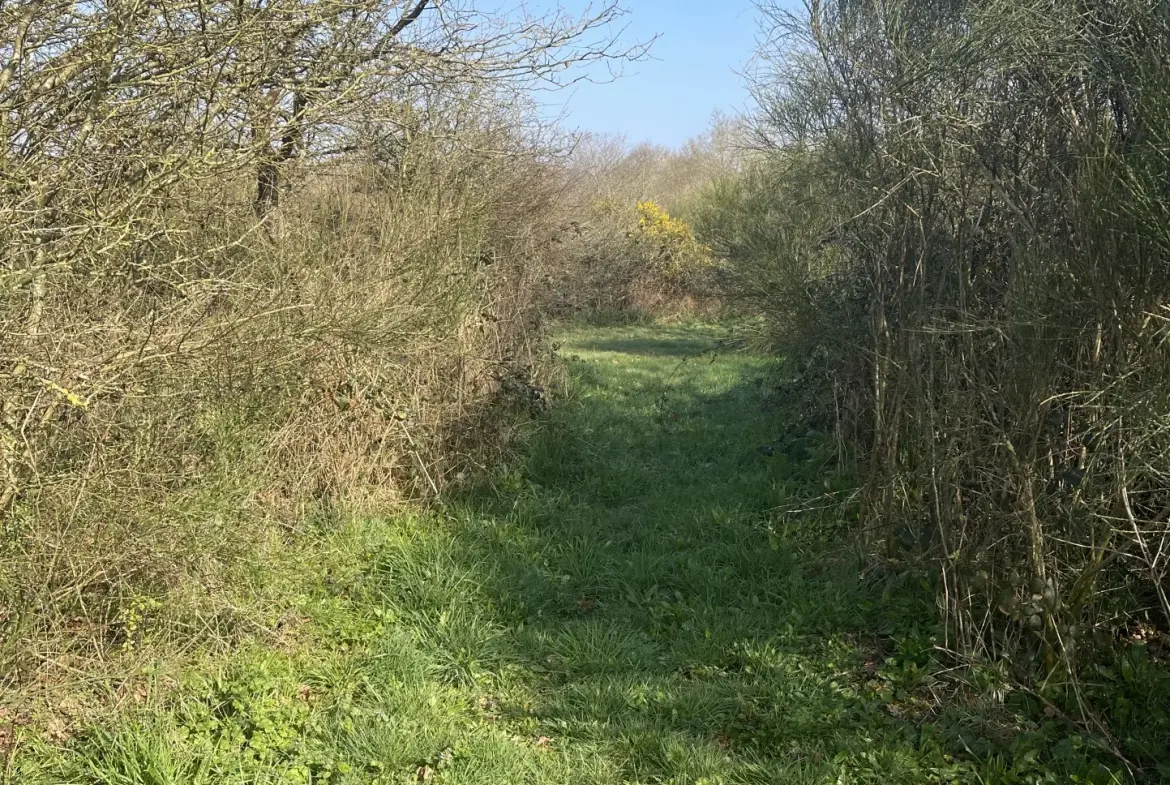 Terrain de loisir agricole de 34 900 m² à La Dominelais, clos avec chalet et carport 