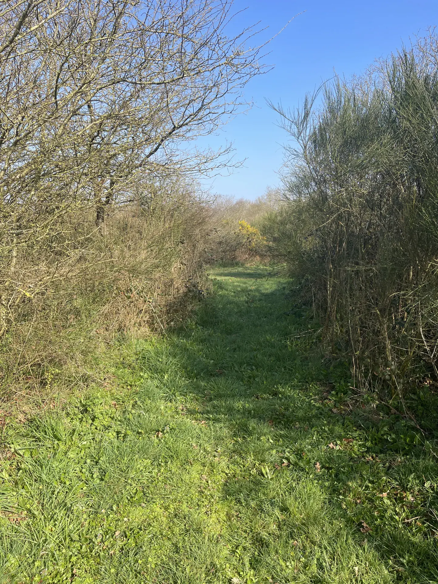 Terrain de loisir agricole de 34 900 m² à La Dominelais, clos avec chalet et carport 
