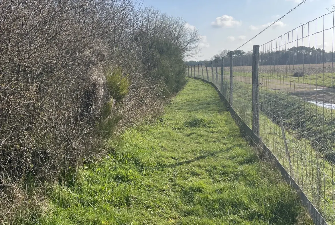 Terrain de loisir agricole de 34 900 m² à La Dominelais, clos avec chalet et carport 