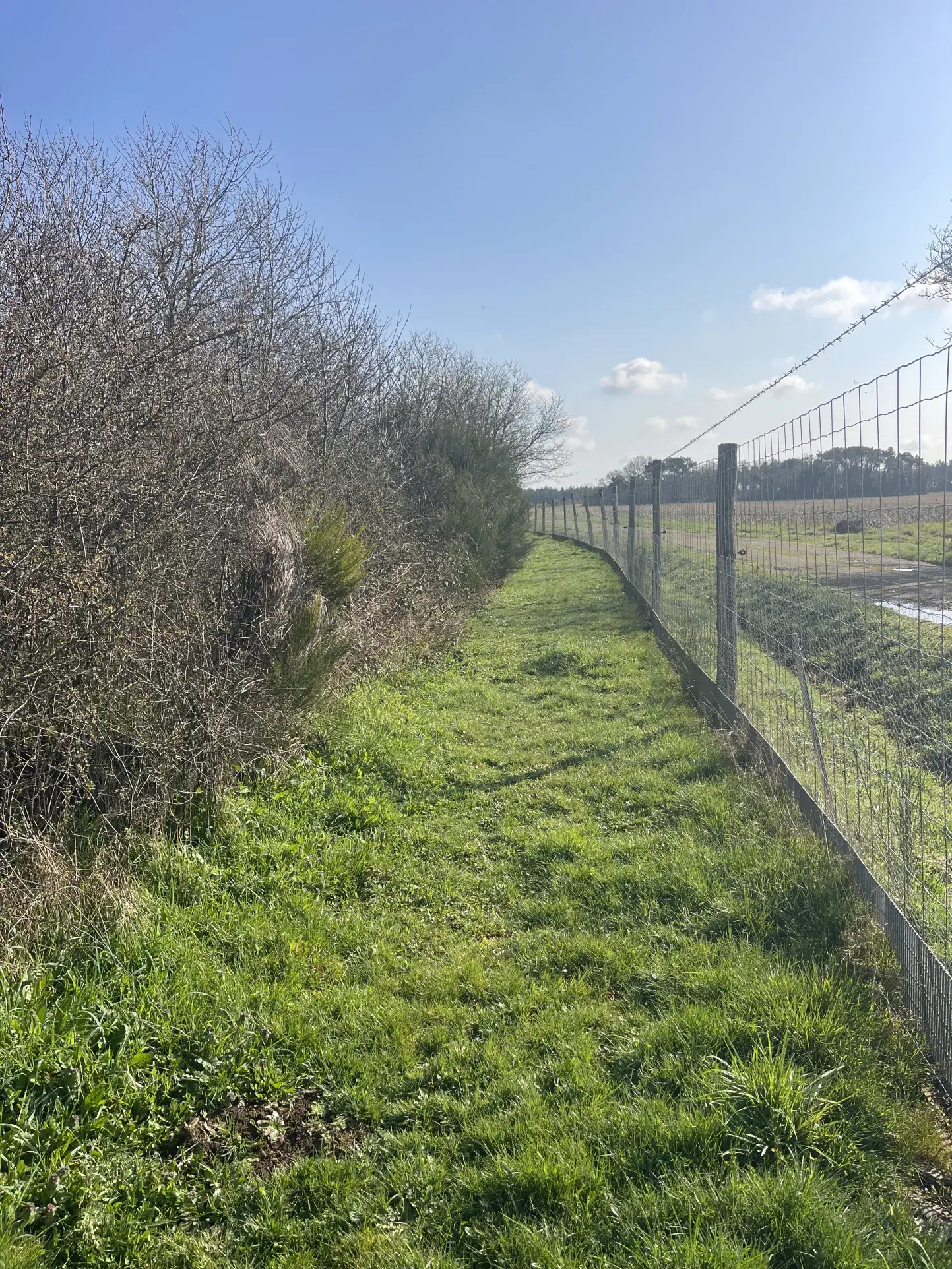 Terrain de loisir agricole de 34 900 m² à La Dominelais, clos avec chalet et carport 