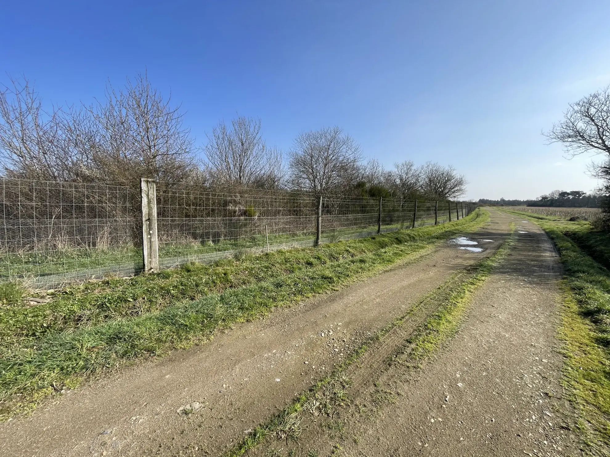 Terrain de loisir agricole de 34 900 m² à La Dominelais, clos avec chalet et carport 