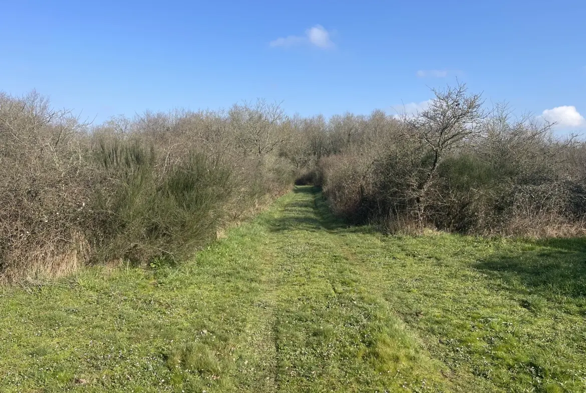 Terrain de loisir agricole de 34 900 m² à La Dominelais, clos avec chalet et carport 