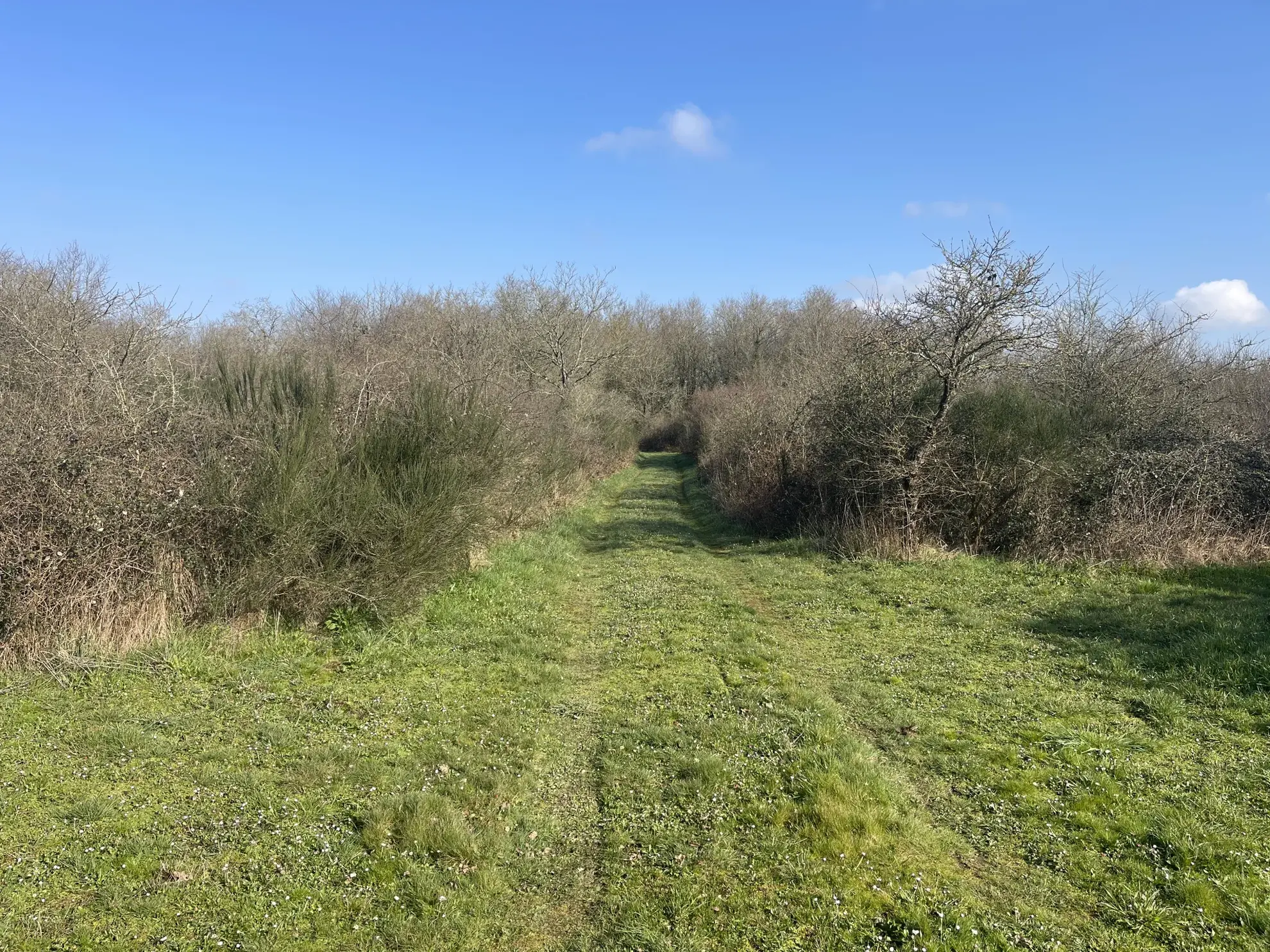 Terrain de loisir agricole de 34 900 m² à La Dominelais, clos avec chalet et carport 