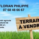 Terrain de loisir agricole de 34 900 m² à La Dominelais, clos avec chalet et carport