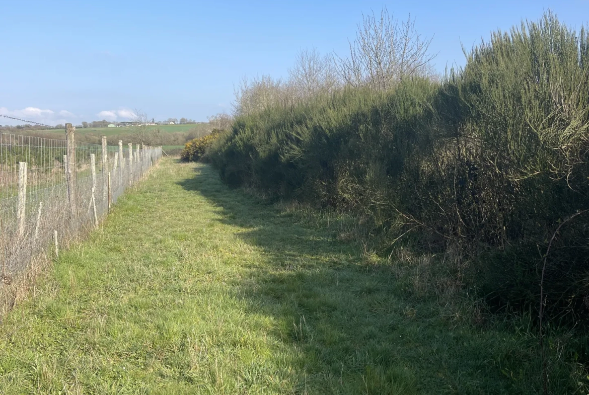 Terrain de loisir agricole de 34 900 m² à La Dominelais, clos avec chalet et carport 