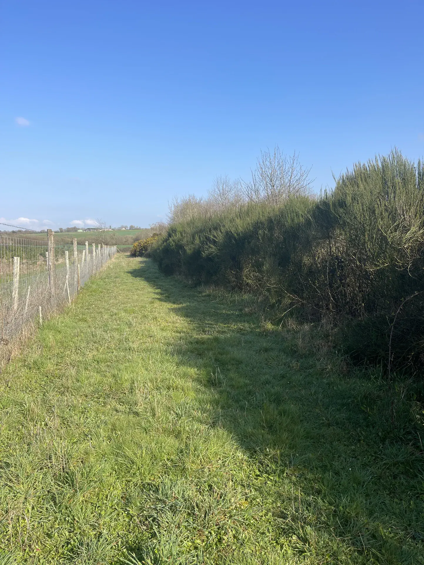 Terrain de loisir agricole de 34 900 m² à La Dominelais, clos avec chalet et carport 