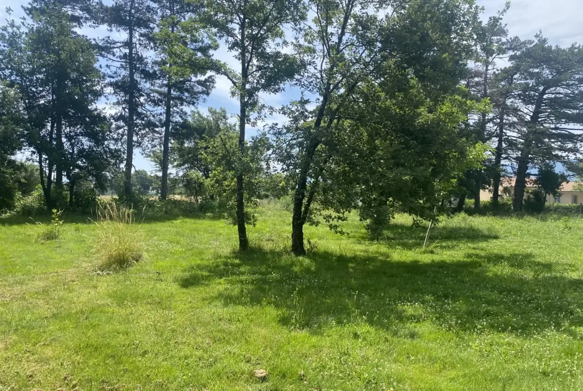 Maison à rafraîchir avec 2 logements à Labruguière (81290) - Grande parcelle 