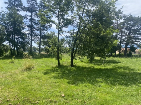Maison à rafraîchir avec 2 logements à Labruguière (81290) - Grande parcelle