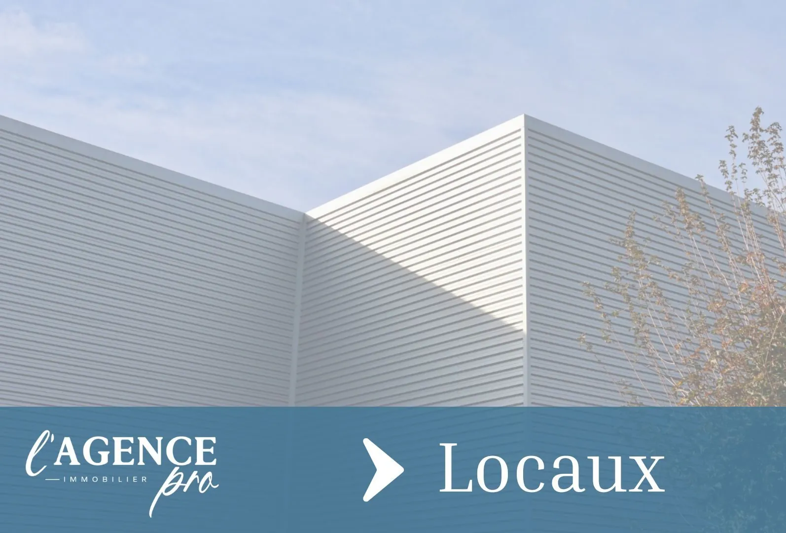 Local commercial de 37 m² en centre-ville de Sarzeau - Opportunité d'investissement 