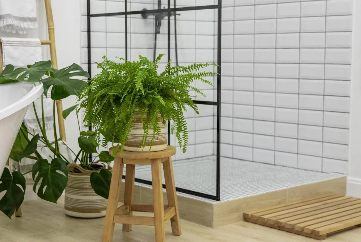 Studio avec jardin privé à Bischheim - Investissement ou premier achat 