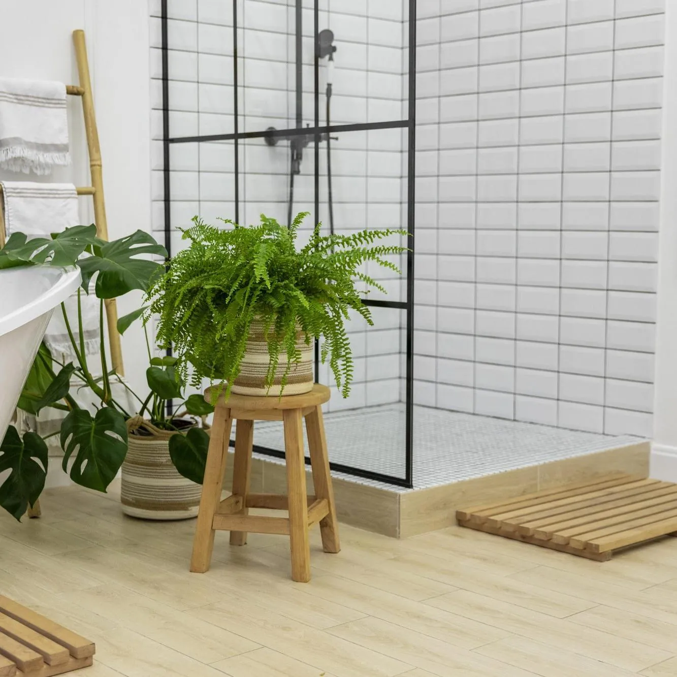 Studio avec jardin privé à Bischheim - Investissement ou premier achat 