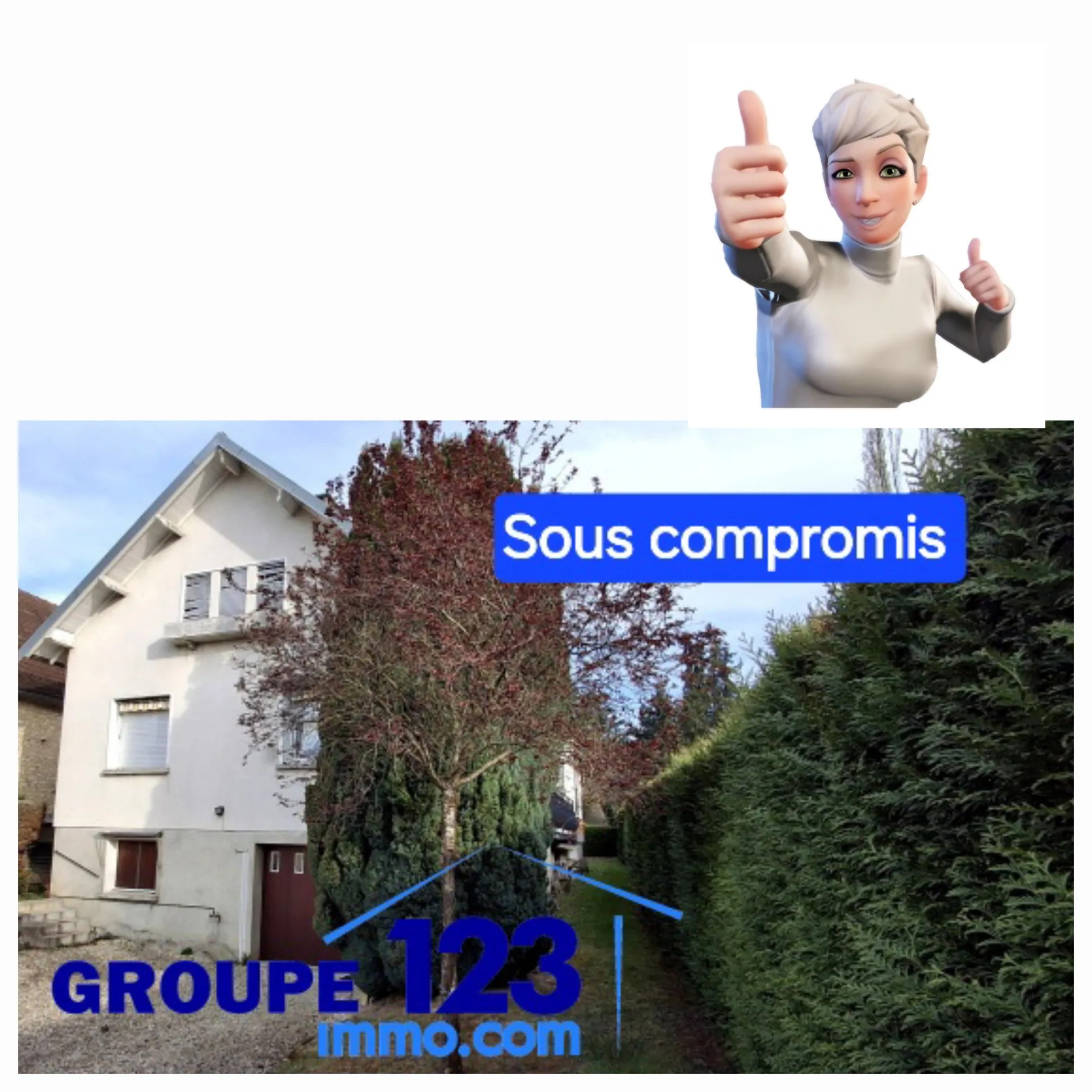 Maison ancienne à Fleury-la-Vallée avec grand terrain, garage et potentiel d'agrandissement 