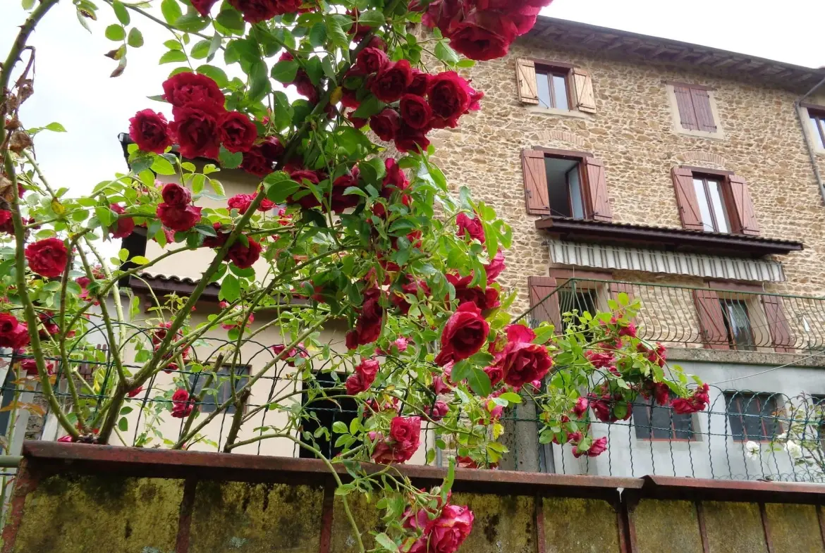 Spacieuse maison de village avec terrasse et grenier aménageable à Chambost-Allières 